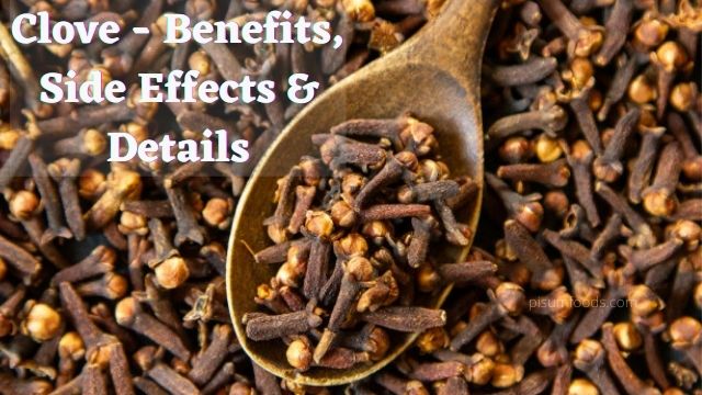 Clove Benefits Side Effects and Details